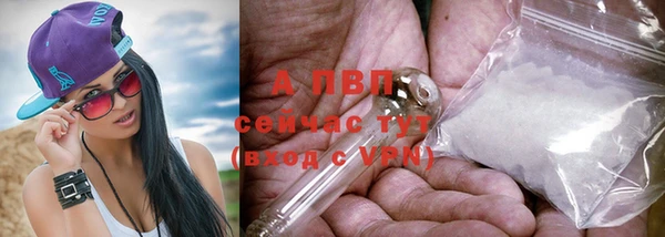 не бодяженный Каменногорск