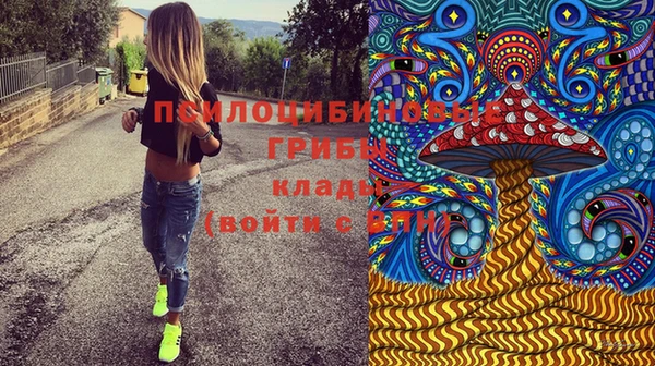 не бодяженный Каменногорск