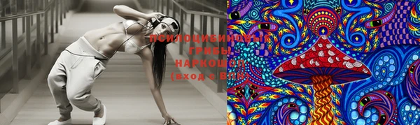 не бодяженный Каменногорск
