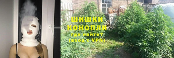не бодяженный Каменногорск