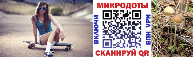 Псилоцибиновые грибы мицелий  Купить  Сергач 